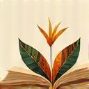 Open book with native motifs representing education
