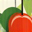 Native bushfood fruit symbolizing quality