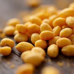 Close-up of toasted golden wattle seeds, a traditional Australian bush food