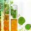 Test tubes and leaves symbolizing research and development