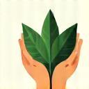 Icon for environmental stewardship with leaves and hands